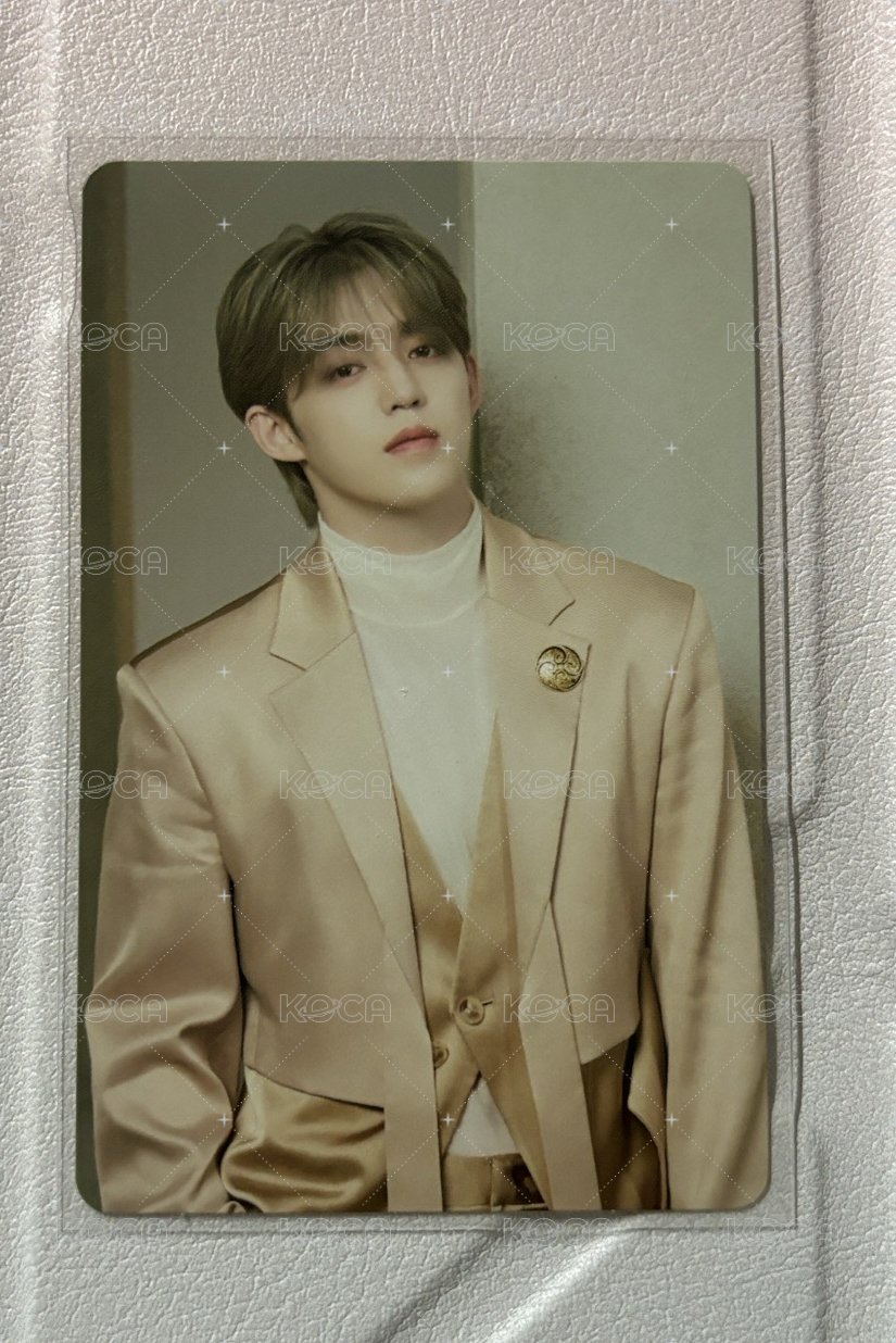 高陽S.coups