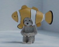 otto