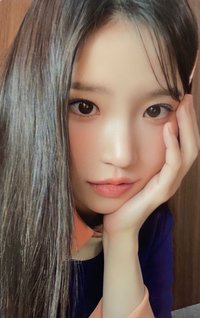 STW 專輯卡 WVS ver.