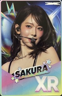 25‘巡迴 日巡 遊戲卡 埼玉音遊卡