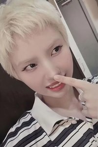 We are ms 線上4.0 簽售卡 鼻叮咚