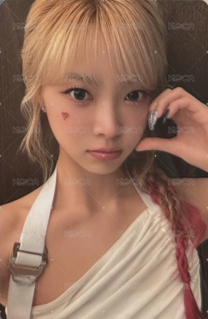 ON-OFF 23-24 演唱會 DVD / CD 卡  正面