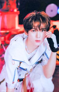 迷四 塔店 特典卡 官拍