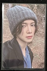 毛帽尚(明顯損)