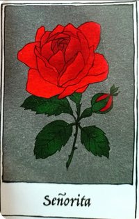 火花 專輯卡 歌詞卡 幸運卡