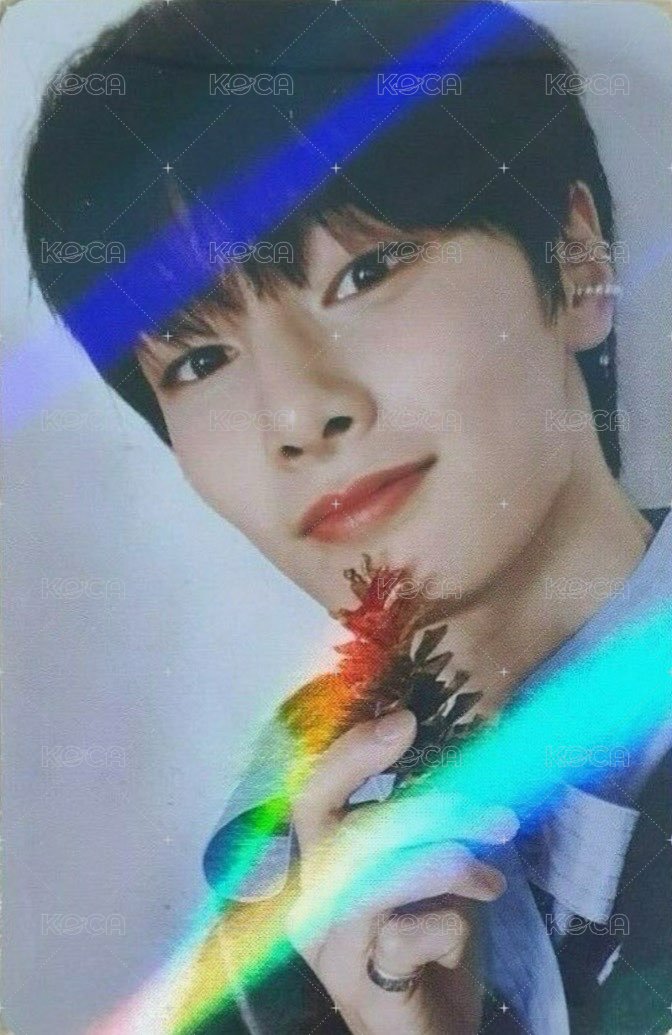 聖誕 阿拉丁 特典卡  正面