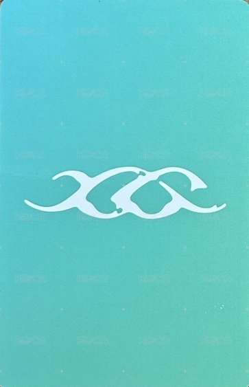 NEW DNA wvs 特典卡 ver.X 背面