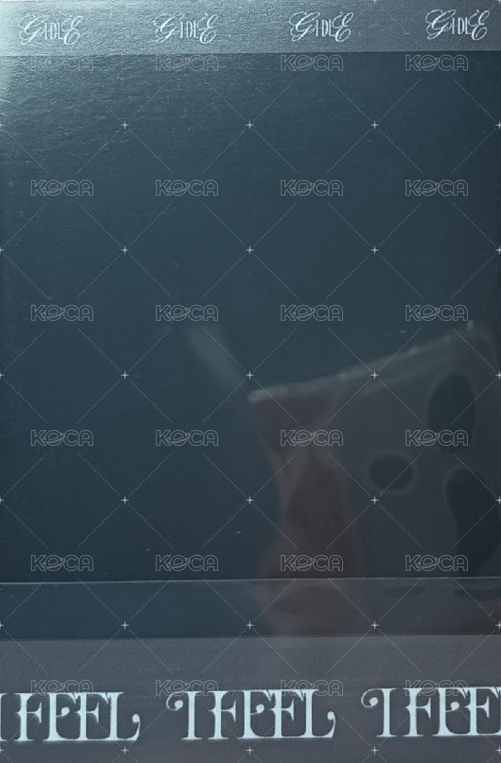 I feel 專輯卡 蝴蝶版拍立得-琦 背面