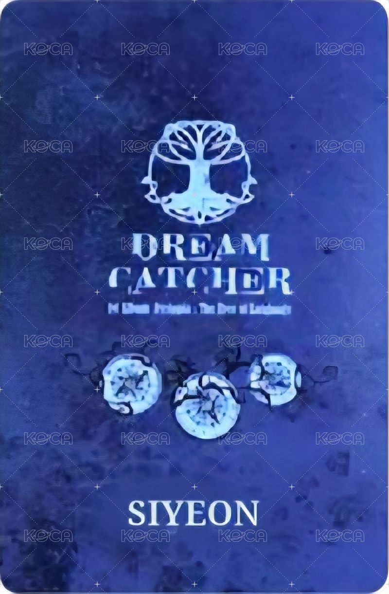 正規一輯 專輯卡  背面