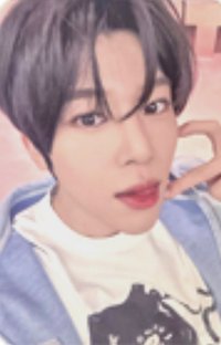 Steady dmm 簽售卡 