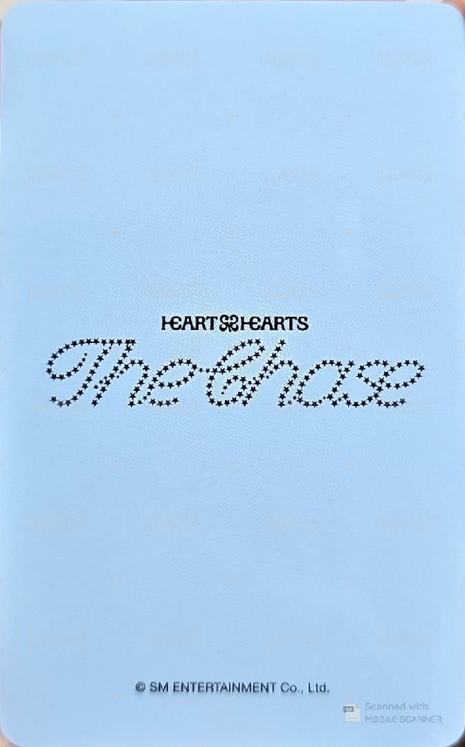 單一 wvs 特典卡  背面