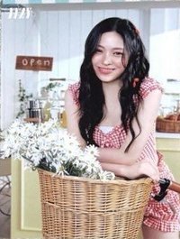 2025 日本快閃 夏日 明信片 照片大卡 生寫真 