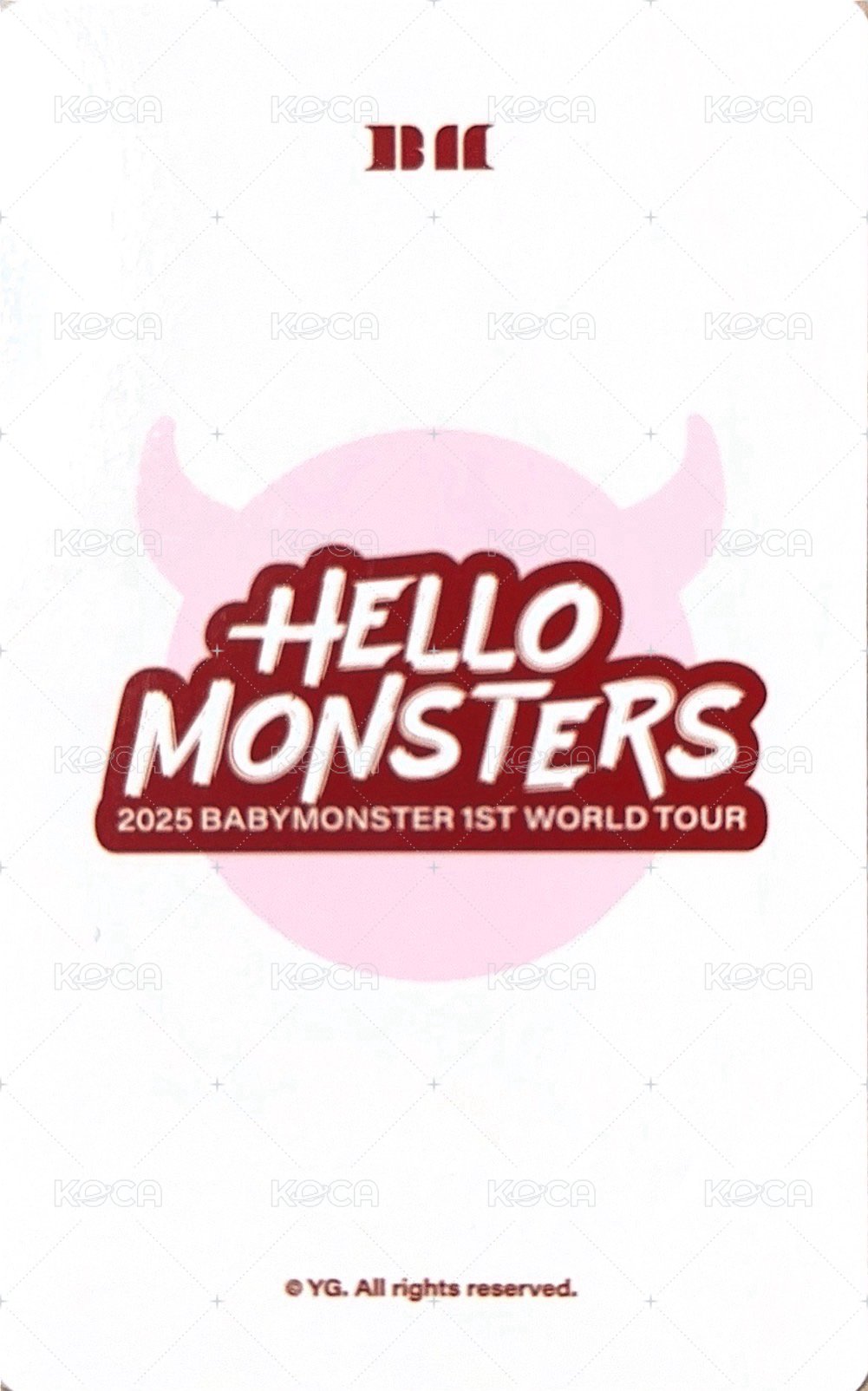 25世巡 毛絨卡套吊飾 周邊卡  背面