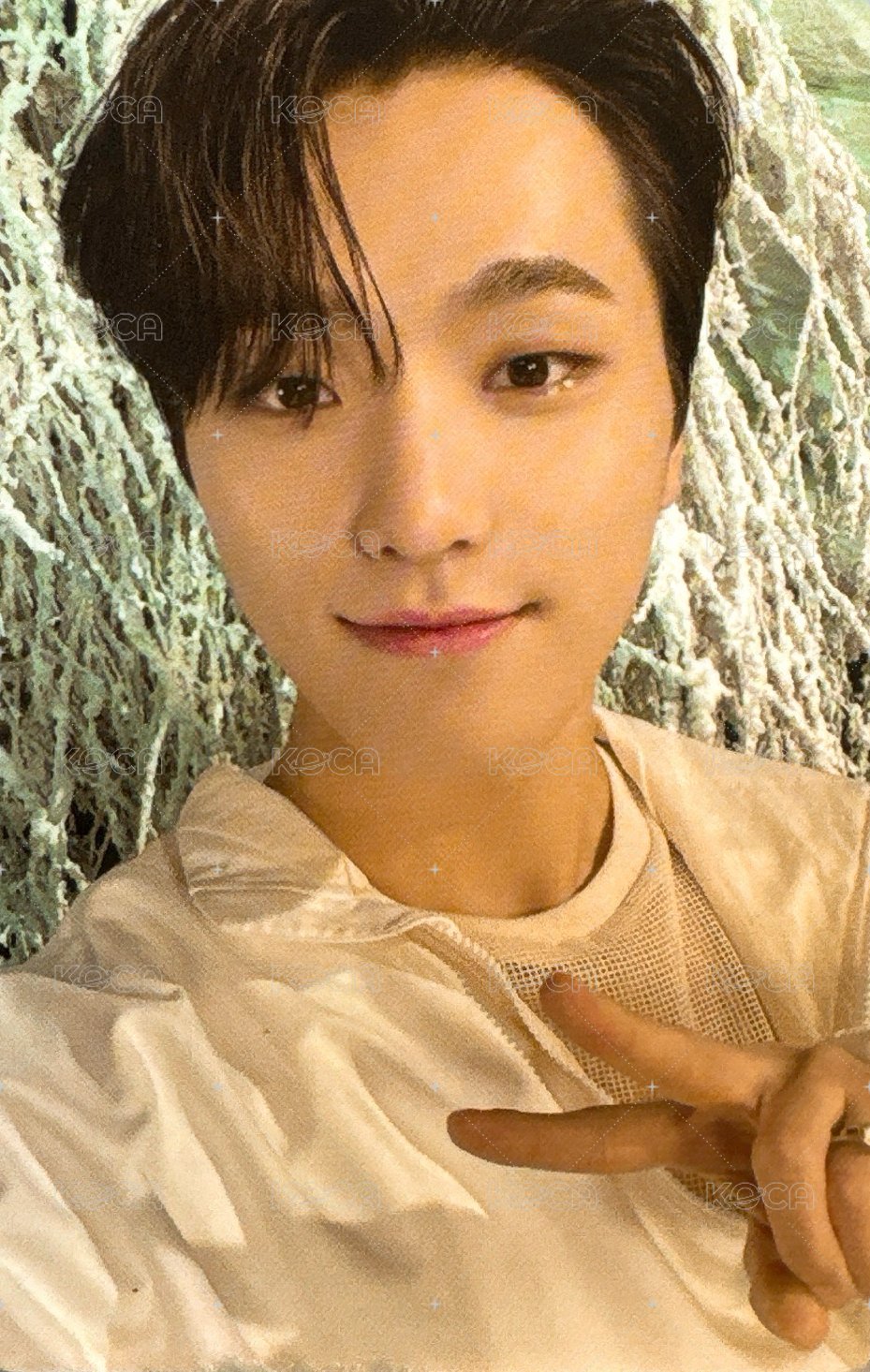 正四後續 專輯卡  正面