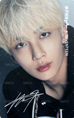 2021 DICON 入場卡 / 場限卡 門票卡 正面