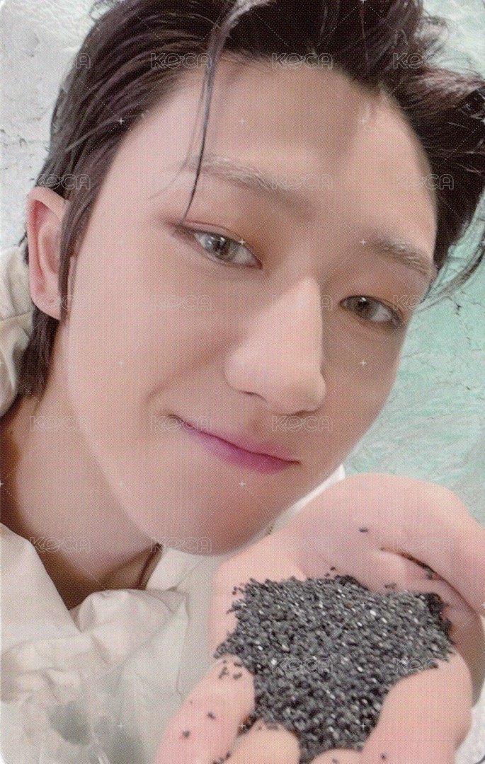 正四後續 專輯卡 正規四後續｜WVS電子專ver. 正面