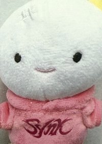 二巡 周邊卡 首爾安可場周 娃衣卡冬