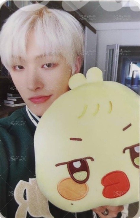 ANITEEZ IN ICE CITY 周邊卡 plush cushion 正面