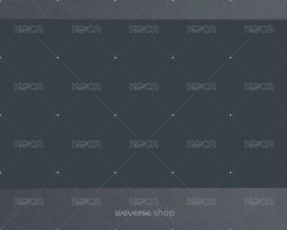 25’世巡 入場卡 / 場限卡 首爾展位團拍 背面