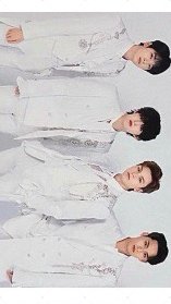 20蛋巡 隨機卡  正面