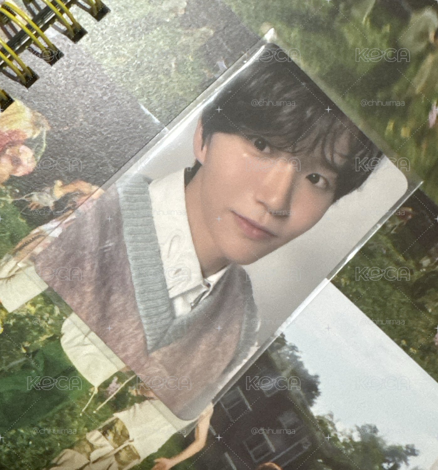 Nct  zone wish Jaehee 邱比特