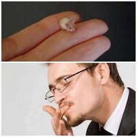 🐈‍⬛＾ν＾🐿️