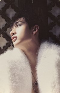 合(HOP) 專輯卡 電子專固卡