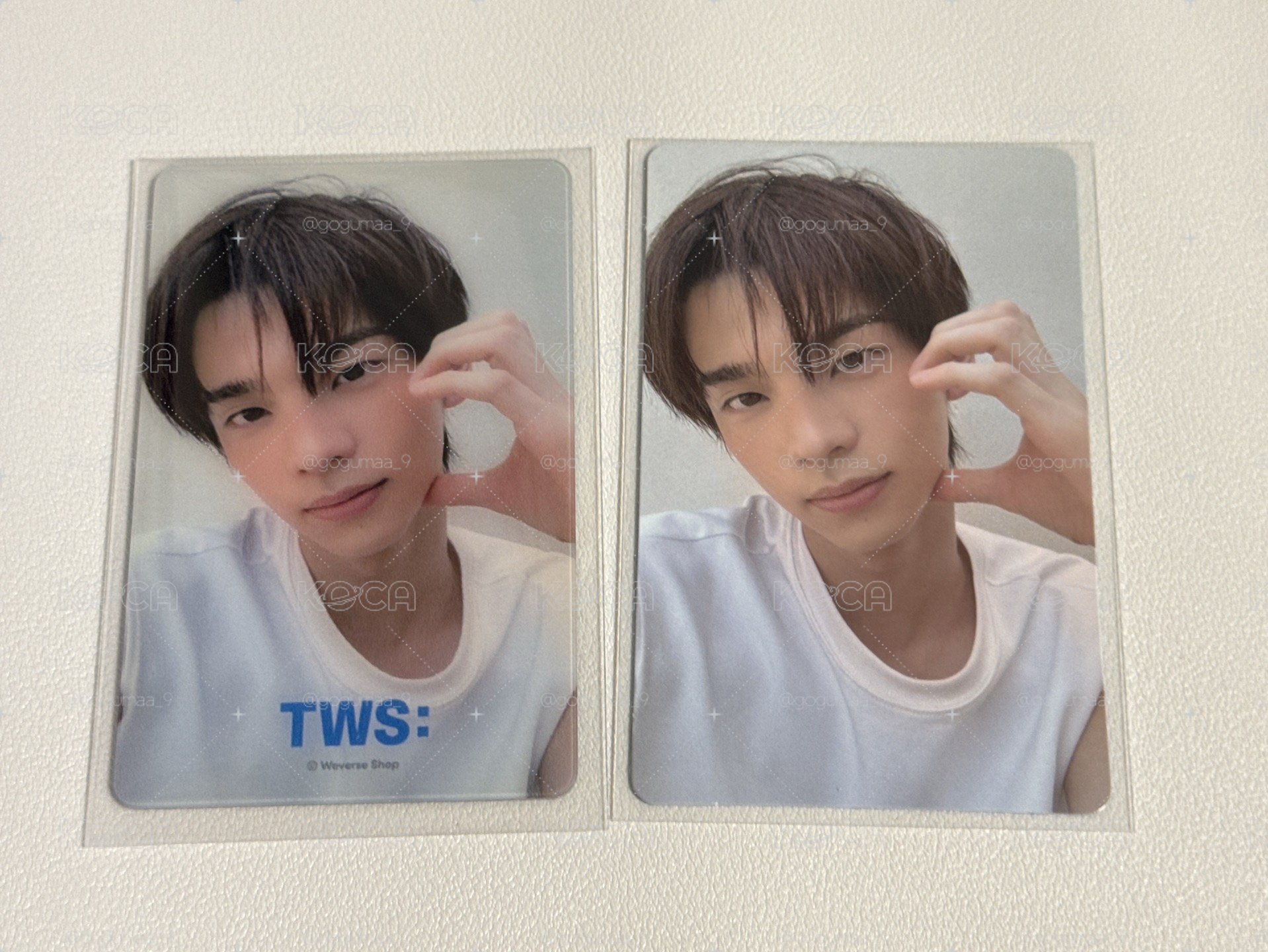 迷二wvs特典