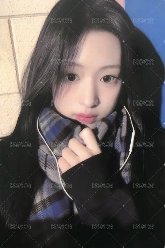 25’世巡 wvs 拼圖 周邊卡  正面