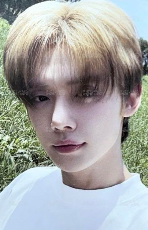 正四 專輯卡 電子專A B版 正面