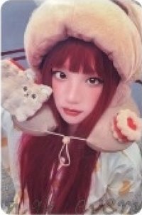 YUQI×TBH Cooogi曲奇小狗家居系列 代言卡 出行限量禮盒