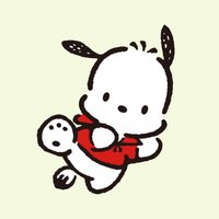 帕恰狗