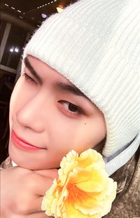 迷三 k4 特典卡 花 ver.