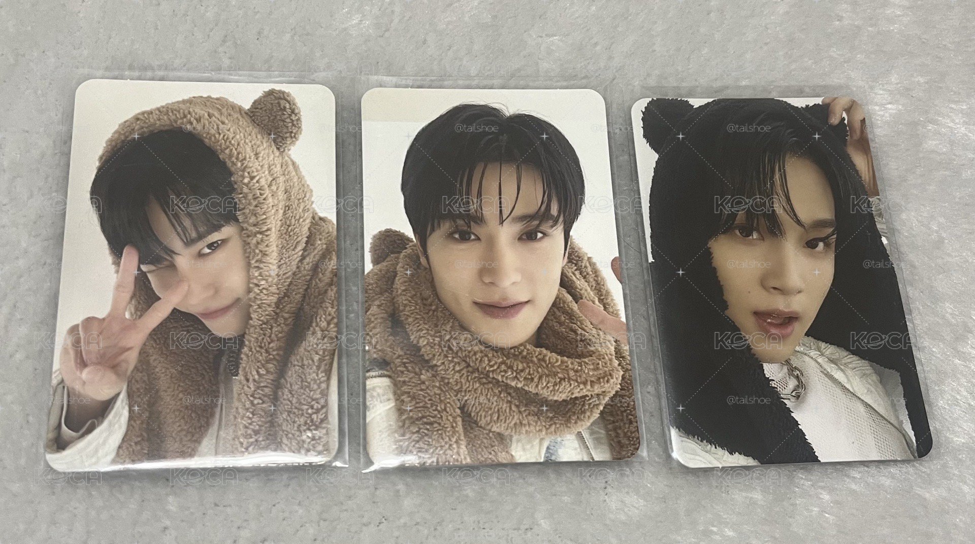 NCT 127 The Great Unity展覽會 小熊隨機卡