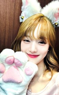 正規二 ms 16.0 簽售卡 貓爪妮