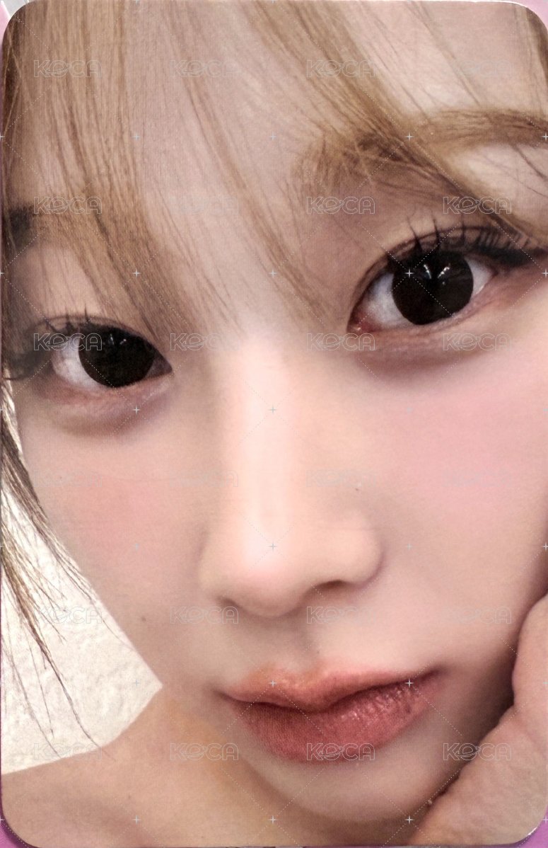 Drama am 簽售卡 簽售吉 懟臉吉 正面