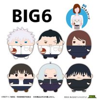 圓滾滾 ふわコロりんBIG 6