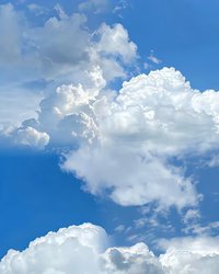 dino_thunder⚡️(收到貨確認無誤請即時點完成訂單)