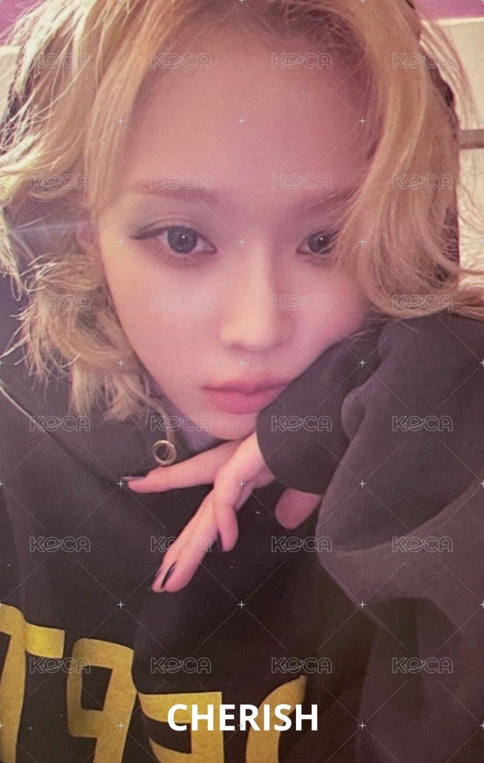 Whiplash kms 特典卡 預售v2冬 正面