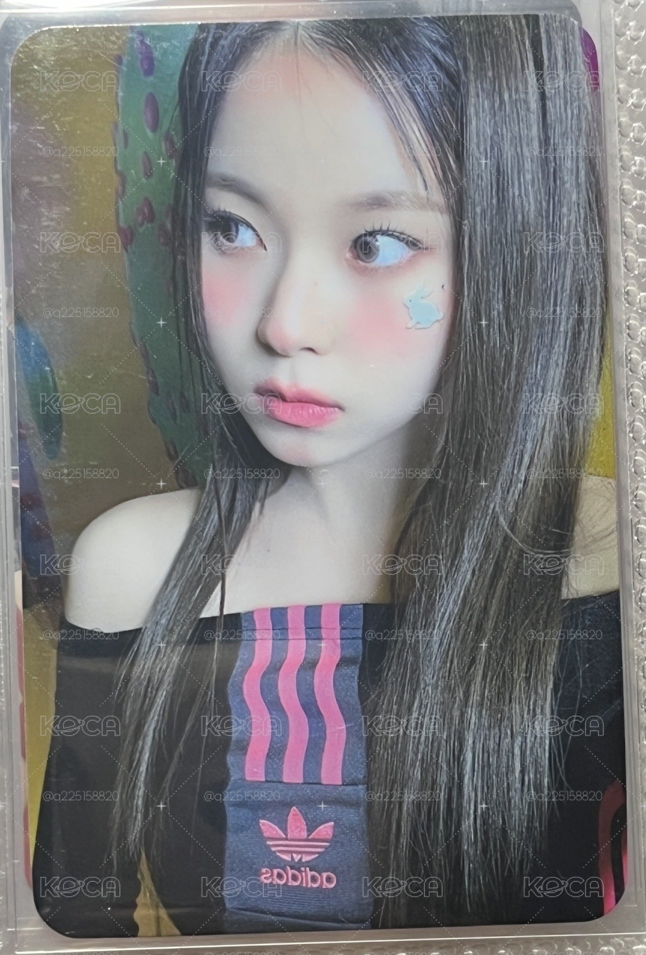 bg圭
