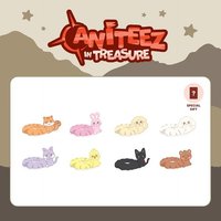 ANITEEZ IN TREASURE LIGHT STICK STRAP 手燈繫帶