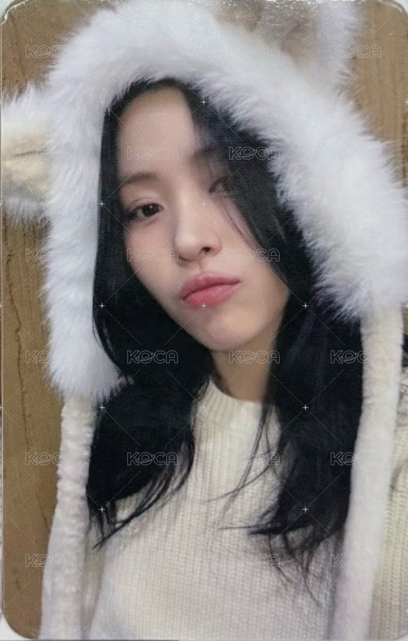 GOLD ms 13.0 簽售卡 狐狸 正面