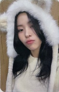 GOLD ms 13.0 簽售卡 狐狸