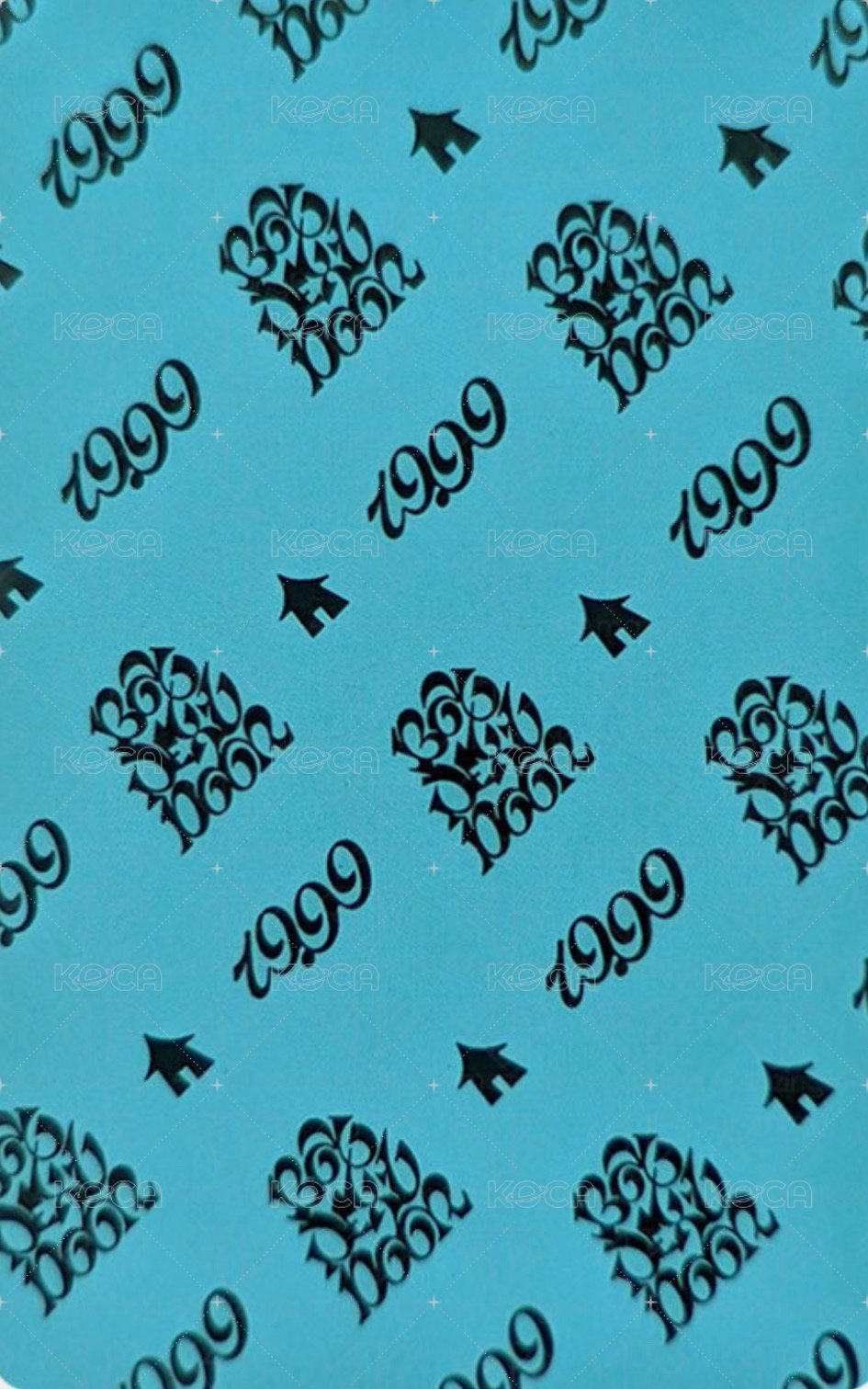 19.99 專輯卡 Twenty ver. 專卡 5 背面