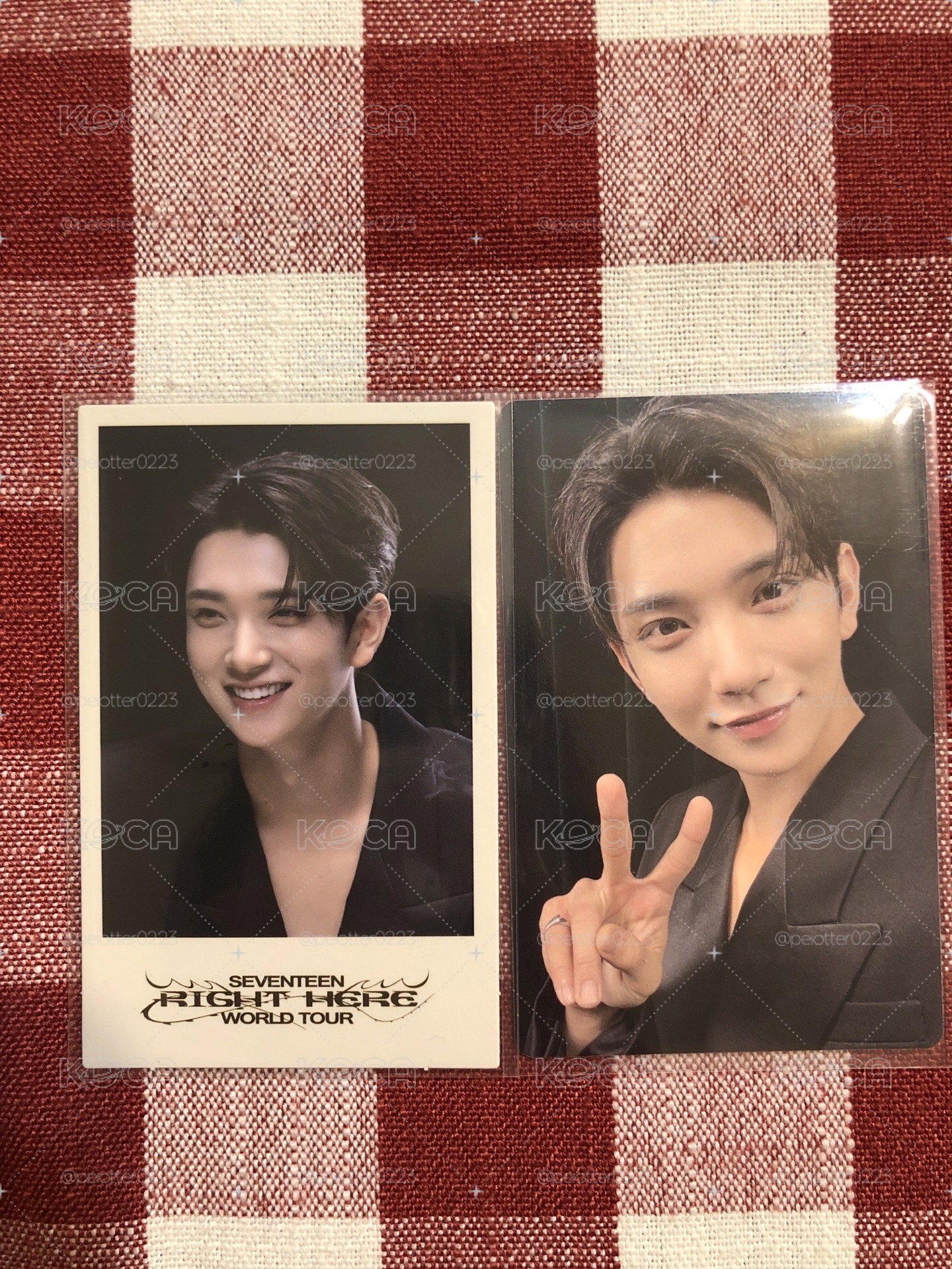 SEVENTEEN Right Here World tour 演唱會DVD 特典卡