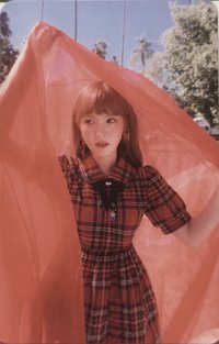 Peek-A-Boo 專輯卡 