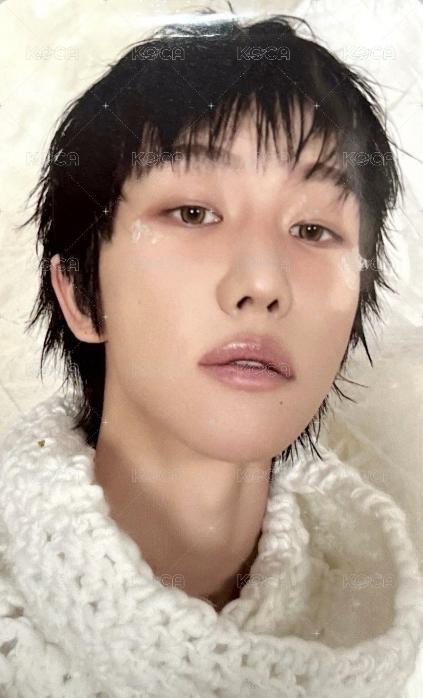 正五 wvs 特典卡 正規五｜ GV特典 正面