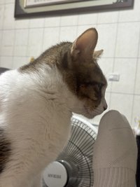 🧦SOCK🧦被流感重擊ver.出貨慢一點點