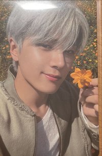 迷五 專輯卡 mini5電子專隨機卡星 拿花星