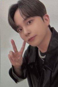 Towards the Light 周邊卡 2024 Photocard Pack